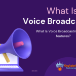 What Is Voice Broadcasting and it’s features?